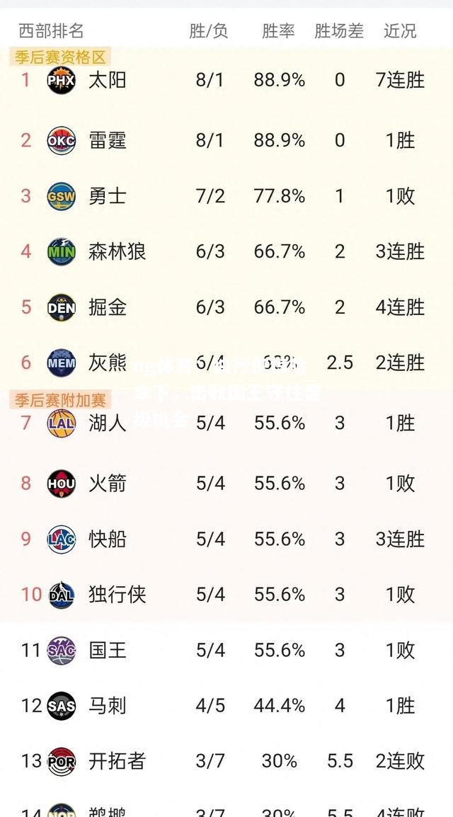 ng体育：独行侠惊险拿下，击败国王守住晋级机会